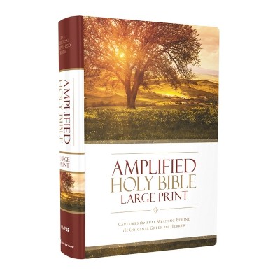 Amplified Bible-am-large Print - By Zondervan (hardcover) : Target