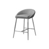 Fabric & Chrome Metal Cushioned Low-Profile Back Counter Height Bar Stool (Set of 2) with Footrest and Contemporary Modern Design - 2 of 4