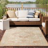 Nourison Essentials Persian Vintage Indoor Outdoor Area Rug - 2 of 4