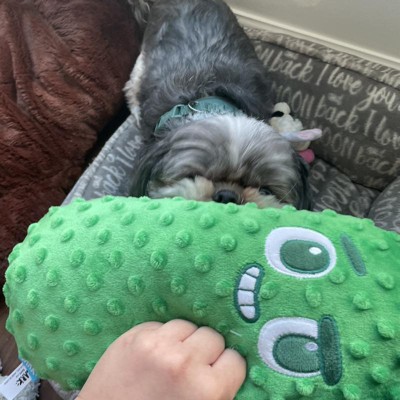 Bark Punk Brocc Broccoli Dog Toy : Target