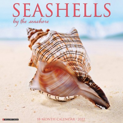2022 Wall Calendar Seashells - Willow Creek Press