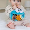 Sesame Street Cookie Monster 8" Inch Soft Activity Teether Toy - 3 of 4