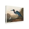 Pictufy   'Blue Crane or Heron From Birds of America 1827' Canvas Art - 2 of 4