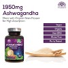 Organic Ashwagandha 1950mg w/ Black Pepper for High Absorption & Stress Support - 120 Capsules By Nature's Strength - 4 of 4