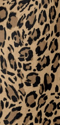 natural bold leopard