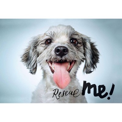 Rescue me sale dog adoption