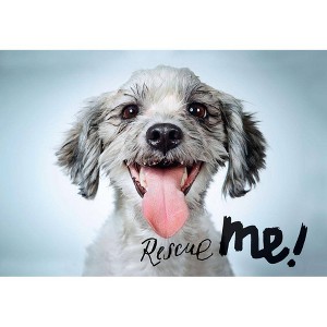 Rescue Me - (Hardcover) - 1 of 1
