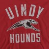 University Of Indianapolis Official Hounds Logo Adult Pull-Over Hoodie - 2 of 4