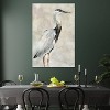 iCanvas Crane at Dusk I by Carol Robinson Canvas Print Wall Art - 3 of 3