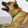 Country Brook Petz Deluxe Dog Collar - Irish Pride Collection - 3 of 4