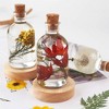 JDICTION Bottle Shape Lamp Shade Resin Mold with 10 Wooden Stoppers for Epoxy, Candle, Soap Making, and Flower Specimen Home Decor - 3 of 4