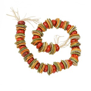 4' Dried Citrus and Tomato Garland - National Tree Company - 1 of 4