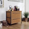 2 Drawer Iron City Lateral File Cabinet Checked Oak - Sauder - 2 of 4