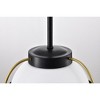 Nuvo Lighting Lakeshore 1 - Light Pendant in  Matte Black - 4 of 4