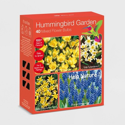 40pk Hummingbird Garden Nature Friendly Collection Assorted Bulbs - National Plant Network