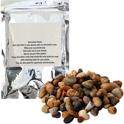 Okuna Outpost Decorative Gravel, Pebbles for Succulents and Plant, Vase Filler (2 lbs)