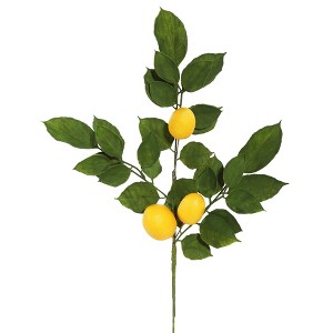 Vickerman 20" Artificial Green and Yellow Salal Leaf Lemon Sprays. Pack of 4. - 1 of 4