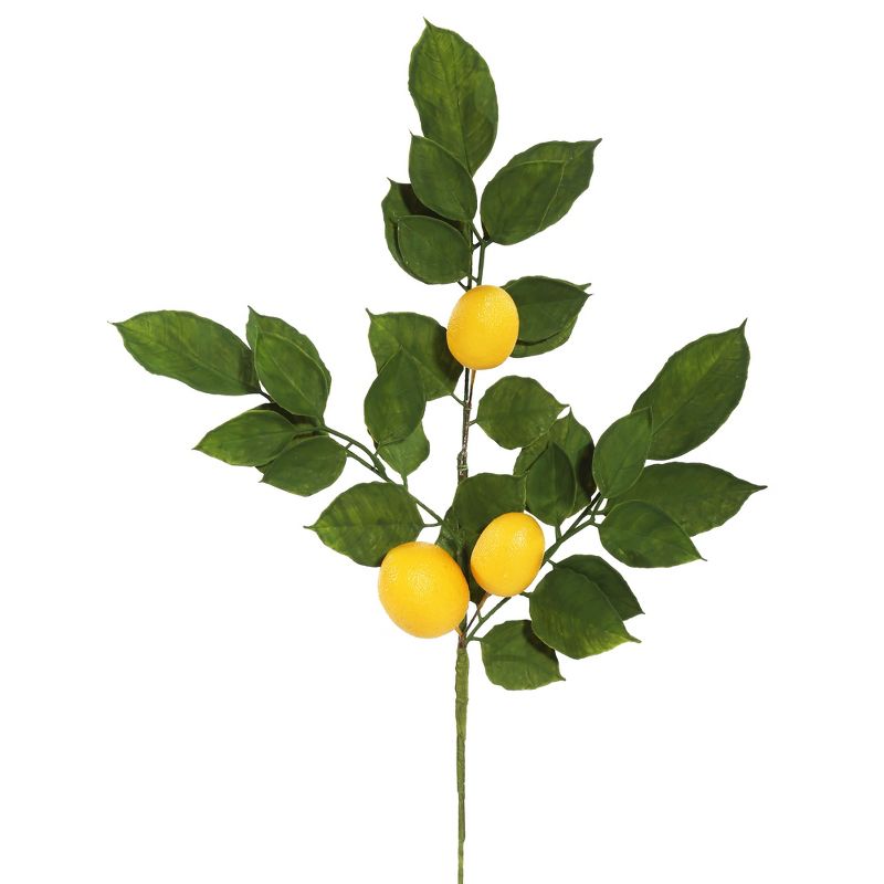 Vickerman 20" Artificial Green and Yellow Salal Leaf Lemon Sprays. Pack of 4., 1 of 7