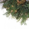 24" Prelit LED Flocked North Conway Artificial Christmas Wreath with Pinecones Warm White Lights - National Tree Company - image 3 of 4