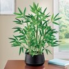 Collections Etc Realistic Artificial Bamboo Plant in Black Pot 16 X 16 X 19.5 - 2 of 2