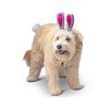 Midlee Easter Bunny Gray & Pink Dog Rabbit Ears with Tail (Small) - 4 of 4