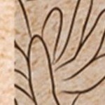 ivory (cream tone)