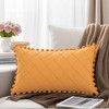 REGALWOVEN Geometry Velvet Couch Throw Pillow Covers with Pom-poms for Farmhouse Home Decor 1 Pc - 2 of 4