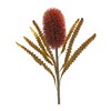 Banksia Stem Set Of 6 Plastic Design With 24 Inch Height For Floral Displays By Melrose - 2 of 3