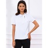 INSPIRE CHIC Women's Bow Tie Neck Solid Color Elastic Cuffs Elegant Office Short Sleeve Blouse - 3 of 4