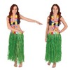 Beistle Adult Artificial Grass Hula Skirts, 36"W x 32"L, (1/Pkg) Multicolored - 2 of 4