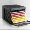 Tribest Sedona Classic Food Dehydrator with BPA-Free Plastic Trays – Black - 2 of 4