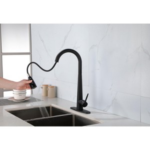 PAGED Bathroom Sink Faucet, High Arc Single Handle Bathroom Faucets with Deck Plate, Kitchen Faucet with Pull Down Sprayer - 1 of 4