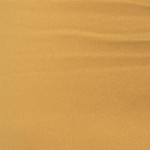 12041-mustard