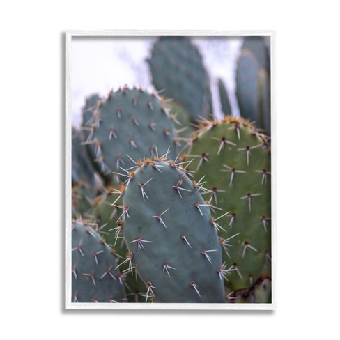 Stupell Prickly Cactus Desert Photography White Framed Giclee, 16 X 20 ...