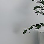 nickel