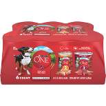 Purina ONE SmartBlend Tender Cuts In Gravy Chicken & Beef Entrée Wet Dog Food - 13oz/6ct Variety Pack