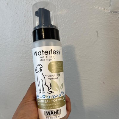 Wahl no shop rinse cat shampoo