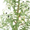 6FT Indoor Artificial Plants Large Olive Tree, Potted Olive Silk Tree with Natural Wood Trunk and Realistic Leave for Living Room Bedroom Office - 3 of 4