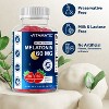 Sugar Free Melatonin 60mg - 60 Gummies - 4 of 4