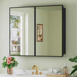 Elise Medicine Cabinet with Mirror, Surface or Recessed Bathroom Medicine Cabinet, Adjustable Tempered Glass Shelves, Reversible, Black - 1 of 4