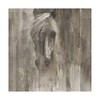Trademark Fine Art -Albena Hristova 'Shadow Light Gray Horse' Canvas Art - 2 of 4