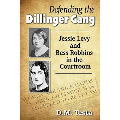 Defending the Dillinger Gang - by  D M Testa (Paperback)