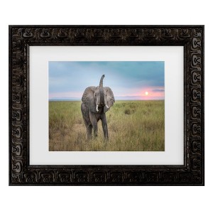 Trademark Fine Art - Jeffrey C. Sink King of the domain Matted Framed Art - 1 of 4