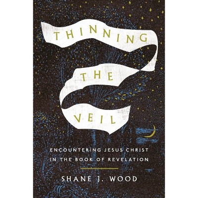 Thinning the Veil - by  Shane J Wood (Paperback)