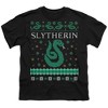 Boys' Short Sleeve Harry Potter Slytherin Ugly Christmas T-Shirt - 2 of 4
