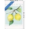 Trends International Reinders: Fruit Market - Limoncello Per Tutti Unframed Wall Poster Prints - 3 of 4