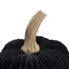 NAYSAYE Party Decoration and Accessories Set of 2 Velvet Pumpkins for Holiday Halloween Tabletop and Home Decor, Black, 20.5"*10.2"*10.23" - 4 of 4