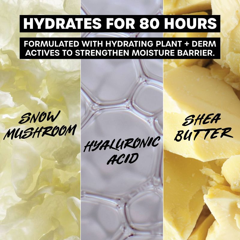 Thayers Natural Remedies Soak it Up 80hr Liquid Face Moisturizer - 2.5 fl oz, 5 of 10