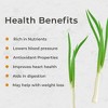 HAMAMA Home Green Onion Kit & Bamboo Frame, Regrow Fresh Green Onions Indoors Every Week, 30-Second Setup, Just Add Water - 3 of 4