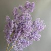 Alilang Decorative Dried Fine Leaf Stems for Home Decoration and Floral Arrangements, 17.7 Inches - 3 of 3